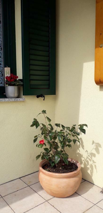 Studio Laura Ičići Dış mekan fotoğraf